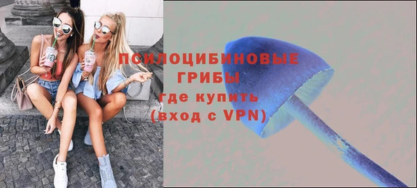 spice Володарск