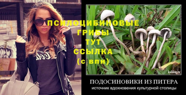 сатива Волоколамск