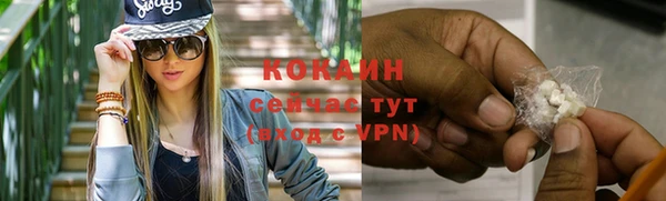 сатива Волоколамск