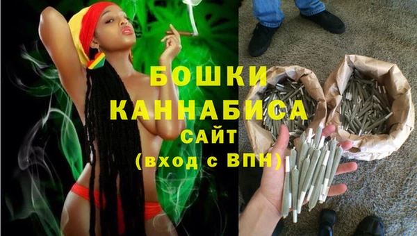 сатива Волоколамск