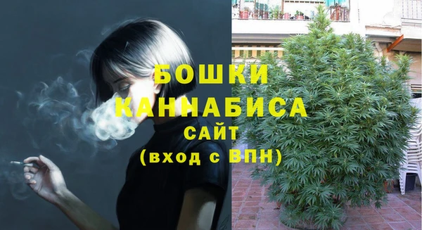 spice Володарск
