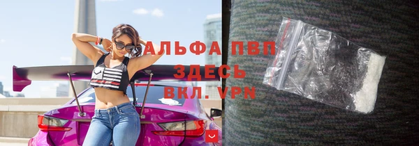 сатива Волоколамск